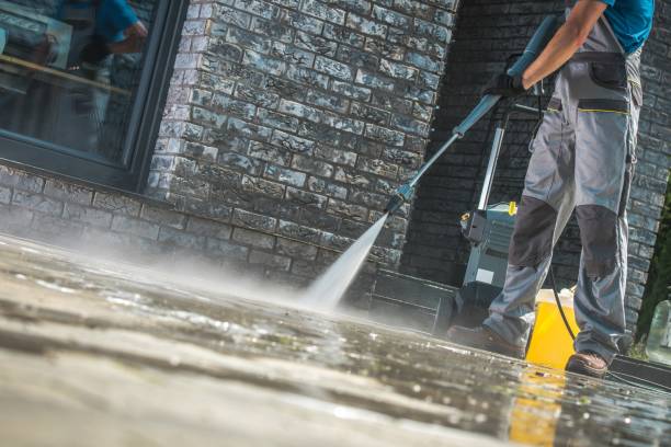 Animal Enclosure Cleaning in Lakeland Village, CA